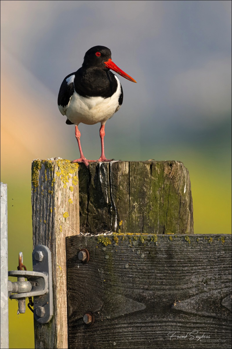 Stacks Image 166