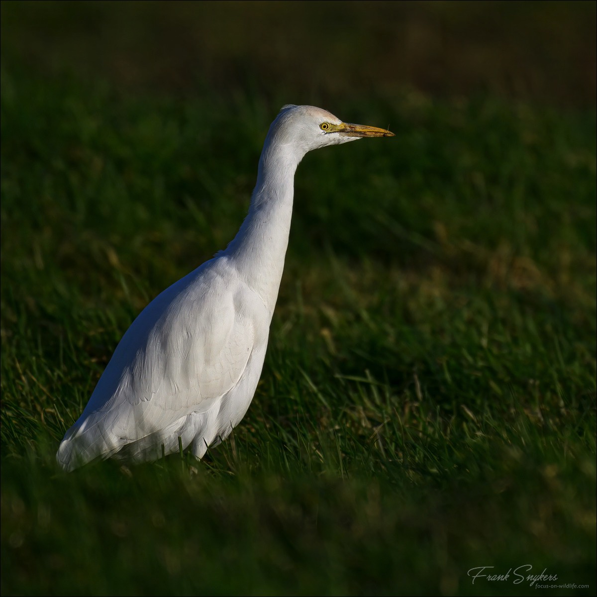 Stacks Image 91